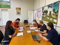 Diagramação e correção ortográfica do novo Regimento Interno